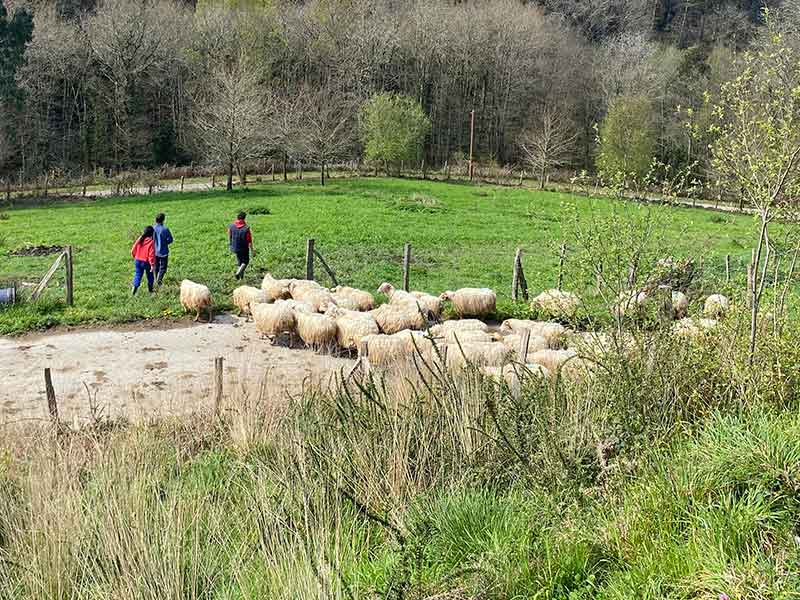 Programa Cultiva 3. estancia Txapel Koop