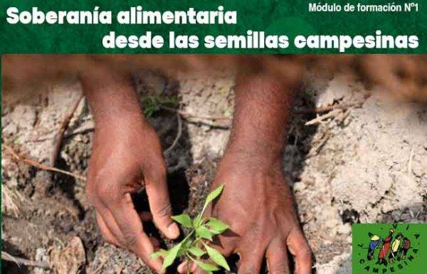 LVC Soberania Alimentaria desde las Semillas Campesinas - imagen destacada