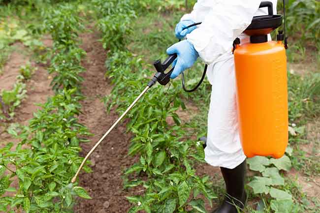 pesticidas - glifosato