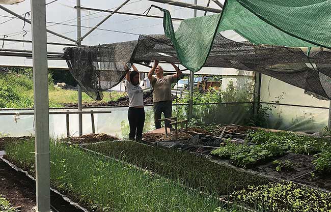 Programa Cultiva - Estancia 190.3 - Zeberio