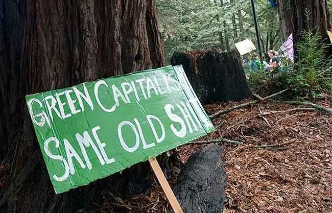 capitalismo verde kartela same old shit