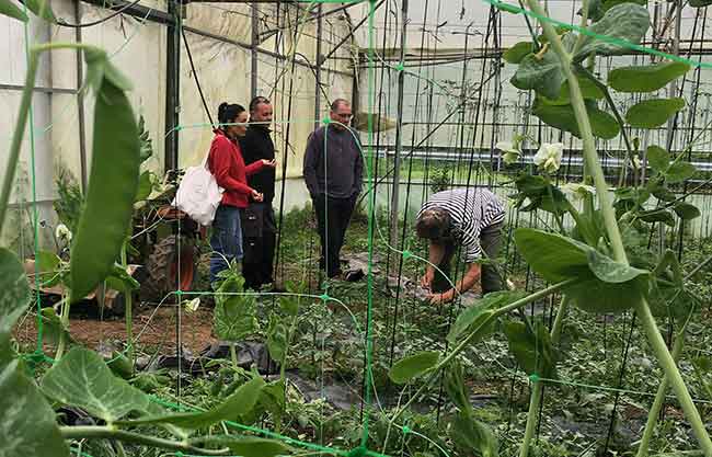 Cultiva Programa 210.2 egonaldia