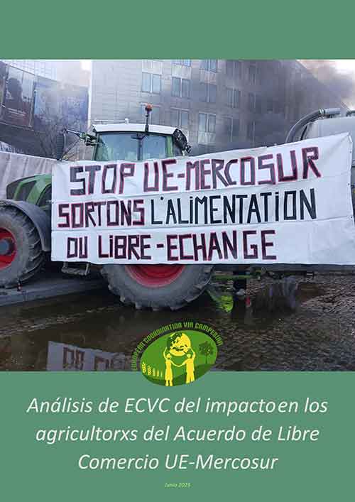 ECVC Mercosur txostena